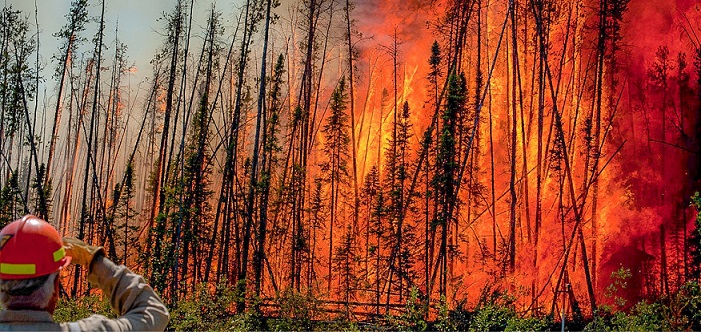 Rising temperatures and extremely dry conditions contribute to unprecedented UK wildfire danger